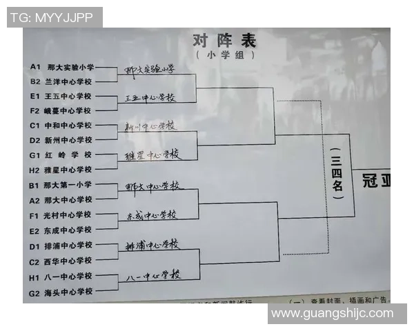 北京篮球队的意识与战术创新分析及其对球队发展的影响探讨