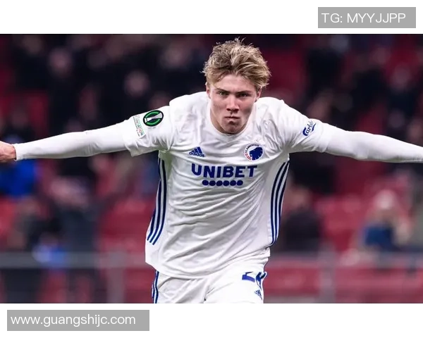 芬兰足球星的崛起与挑战：从青训到国际赛场的奋斗历程