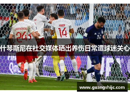 什琴斯尼在社交媒体晒出养伤日常遭球迷关心
