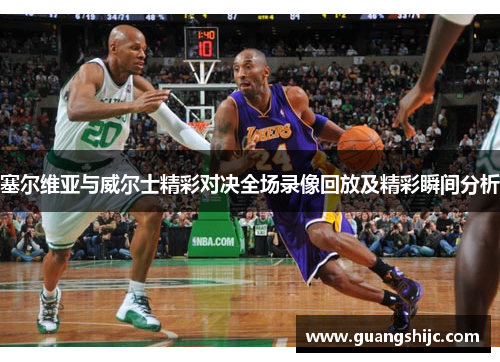 塞尔维亚与威尔士精彩对决全场录像回放及精彩瞬间分析