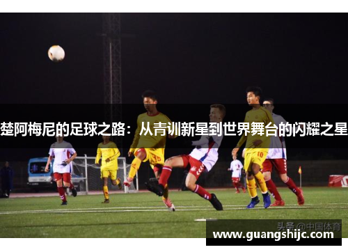 楚阿梅尼的足球之路：从青训新星到世界舞台的闪耀之星