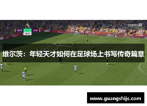维尔茨：年轻天才如何在足球场上书写传奇篇章